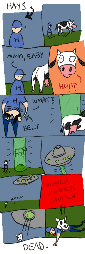 hays meets a cow
