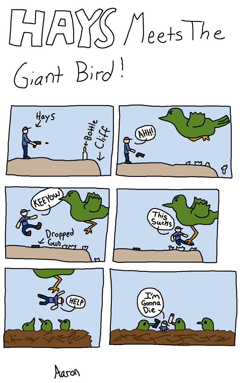 hays meets the giant bird