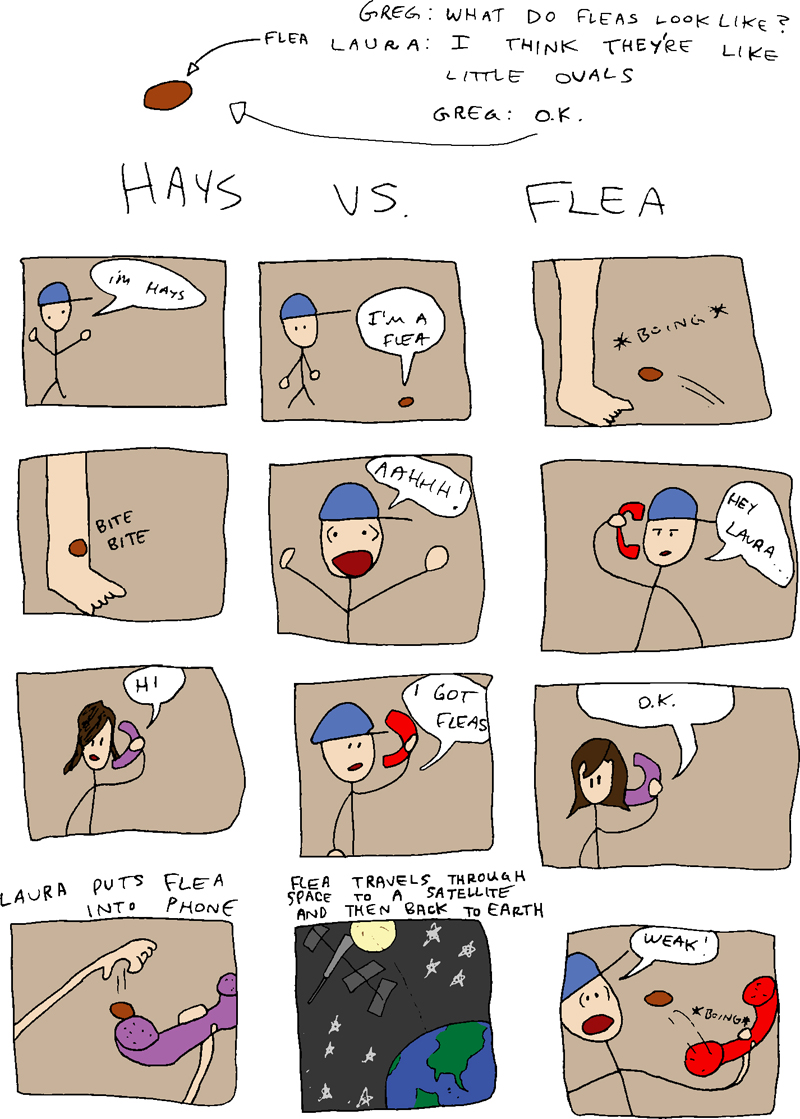 hays vs. a flea