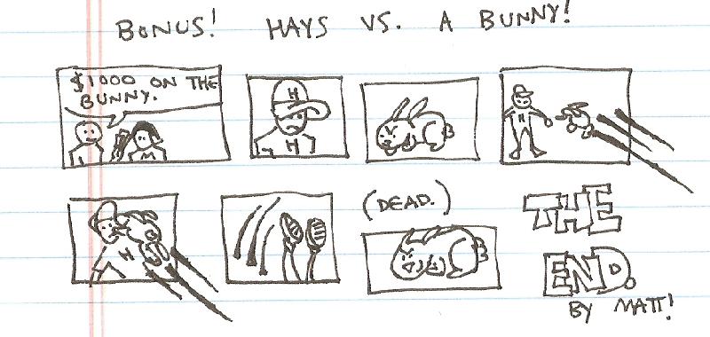 hays vs. a bunny